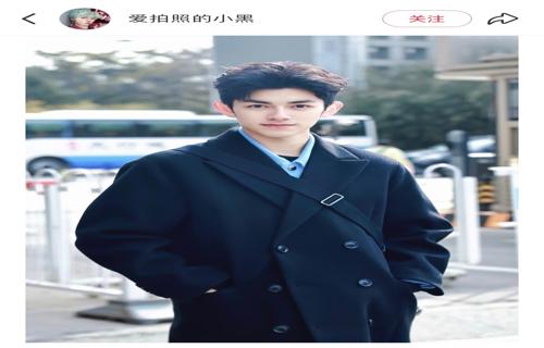 我的世界大电影新预告曝光方形大熊猫萌趣十足