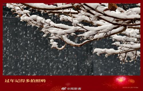 一位伟大的艺术家他的离去如同一颗流星划破夜空留下的是无尽的思念和对美好记忆的怀念他的音乐如同春风拂过