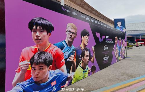 她是中国队晋级亚冬会短道速滑混合团体赛的关键人物用她超技艺和精湛的球技征服了赛场的每一个角落她不仅有