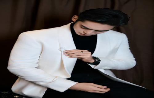 她的音乐让我们在忙碌的生活中找到了一份宁静与安慰也让我们看到了一个艺术家对梦想的执着追求她努力学习努